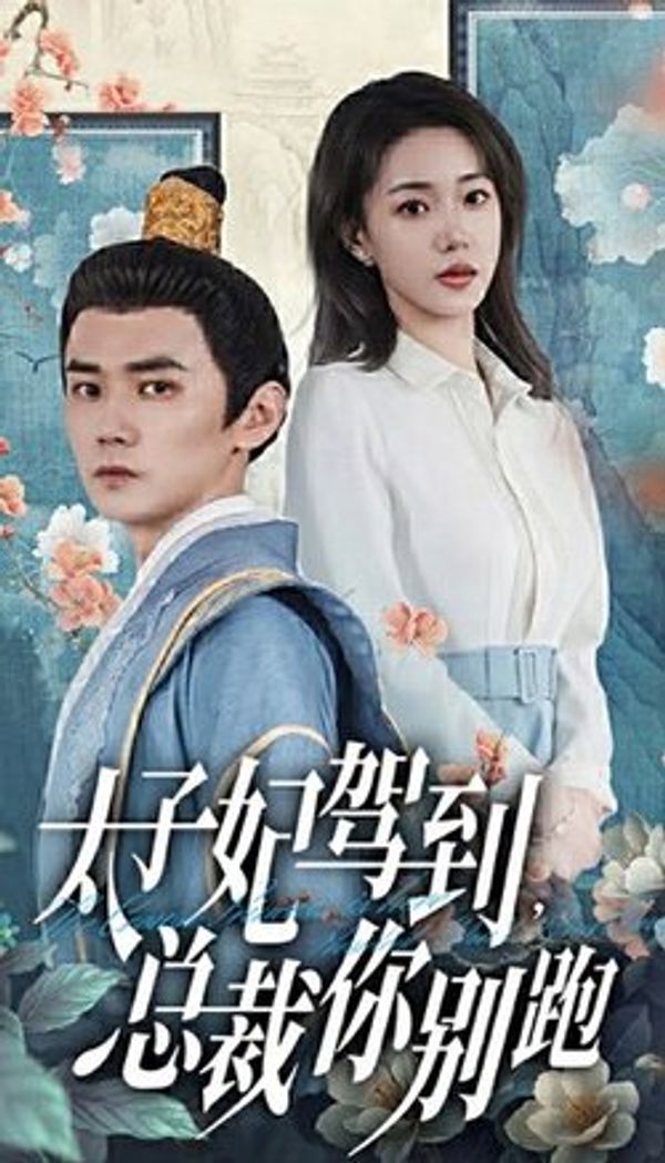 太子妃驾到总裁你别跑