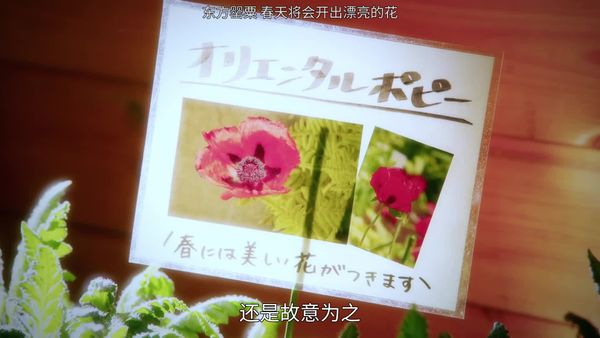 竞争的守护者02