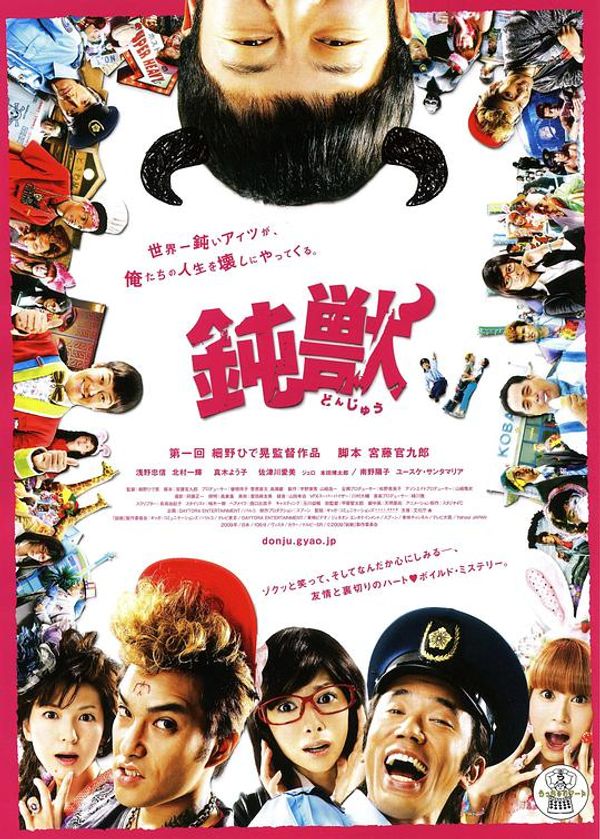 钝兽