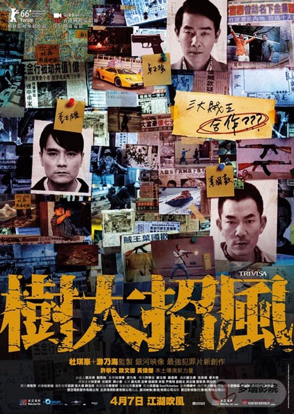 树大招风1