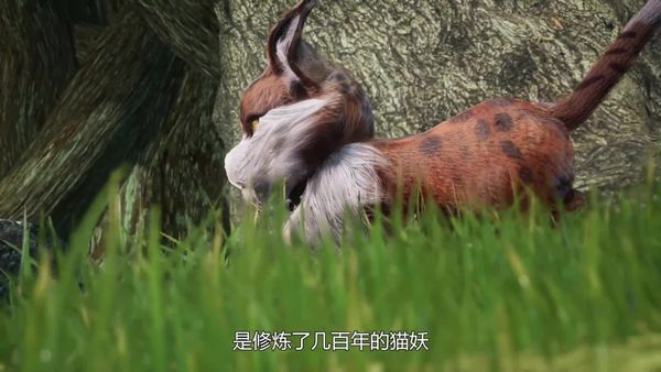 我的微信通龙宫12